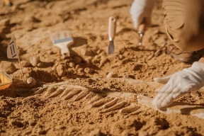 Российские археологи обнаружили в Курской области поселения палеолита