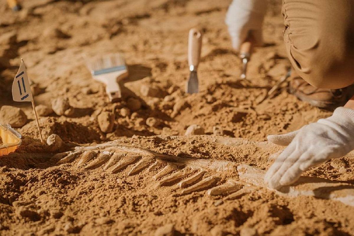 Российские (страна-террорист) археологи обнаружили в Курской области поселения палеолита