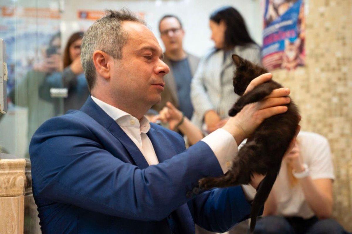 Театр Куклачева в Москве принял «на службу» трех котов, вывезенных из зоны СВО