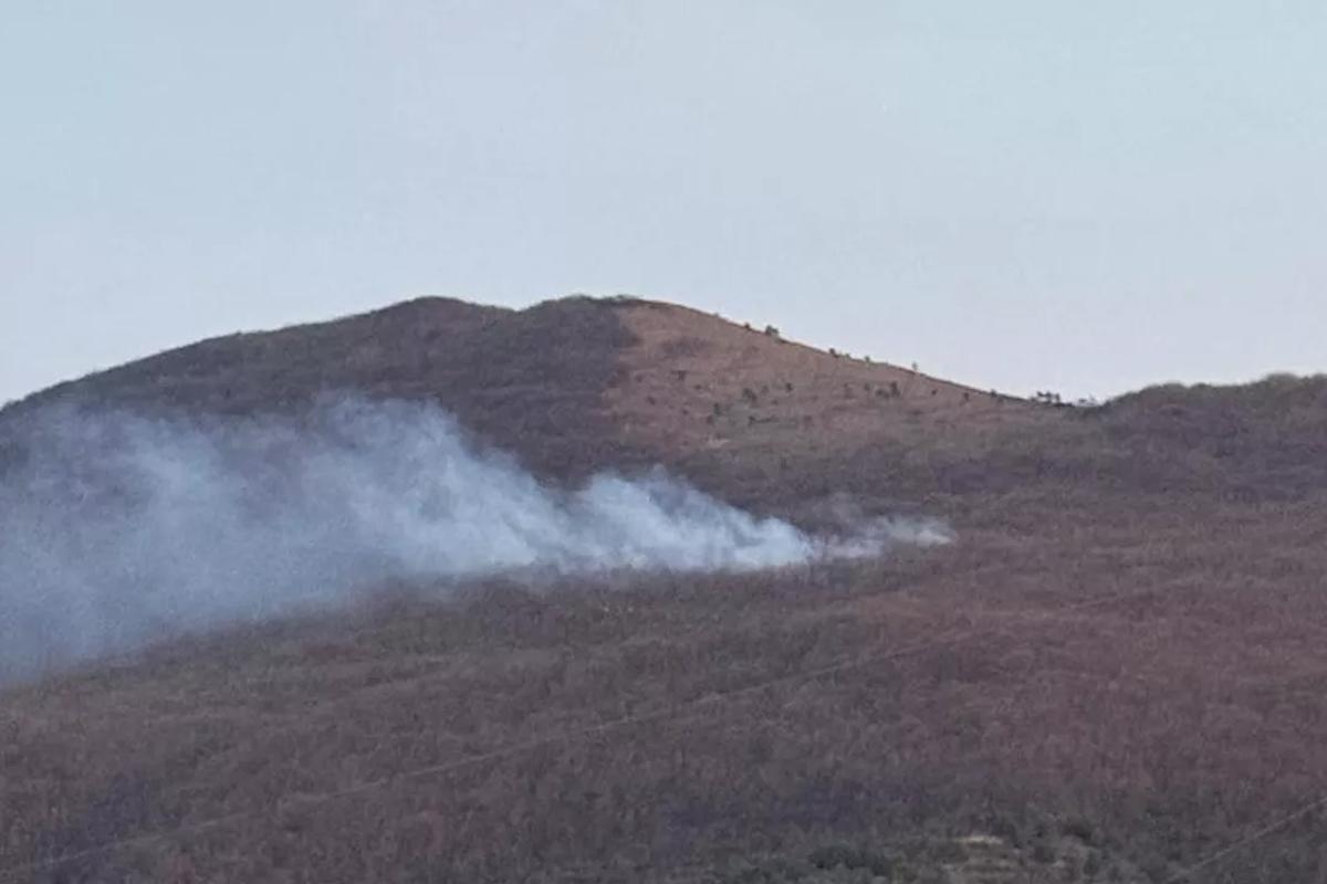 В Новороссийске тушат крупный лесной пожар на площади 0,8 га: задействовано 49 человек и 15 единиц техники
