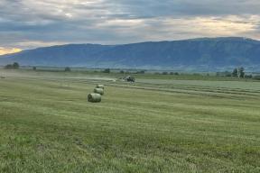 В Республике Алтай 25 ветеранов СВО получат гранты по 4,8 млн рублей на развитие фермерских хозяйств
