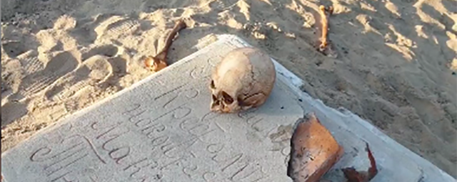 В Чите местный житель нашел человеческий череп