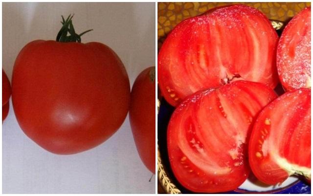 Новосибирский агроном Шубина дала оценку семенам томатов «Вова Путин»