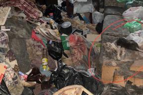 Жуткое соседство: москвичка нашла труп и горы мусора в новой квартире