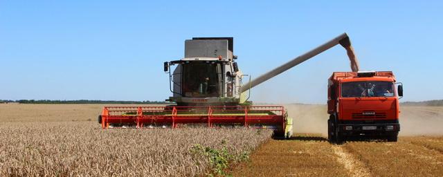 В Адыгее собрали рекордный урожай озимых зерновых