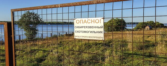 Минсельхоз хочет запретить создание новых скотомогильников в России