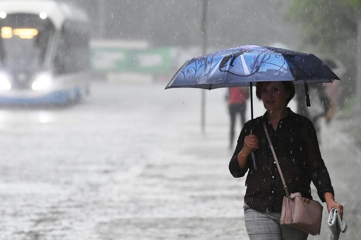 Жителей Новгородской области призвали готовиться к дождливой погоде
