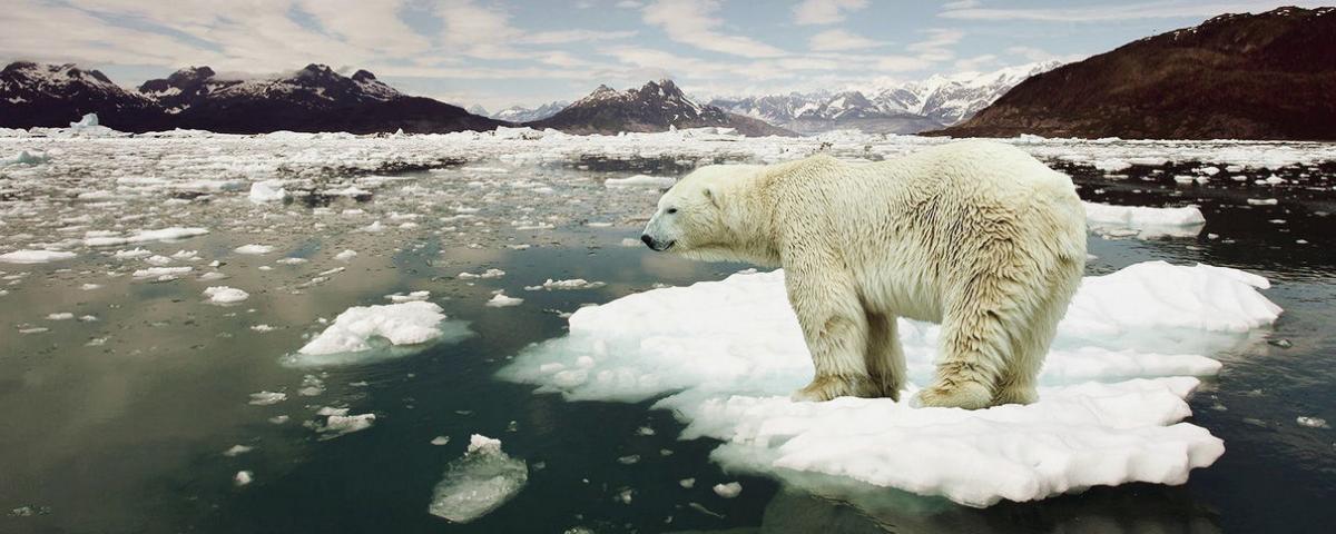 Ученые: Проблему глобального потепления необходимо решить до 2050 года