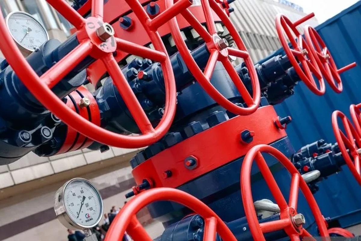 Украинский премьер предложила Словакии общий энергетический хаб в обход РФ