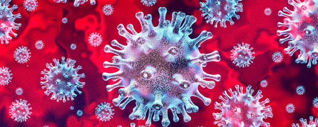 На Колыме за сутки выявили 7 случаев коронавируса