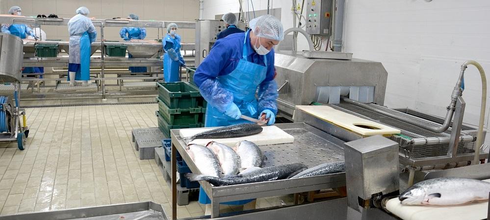 Волгоградская область увеличила поставки рыбной продукции на потребительский рынок