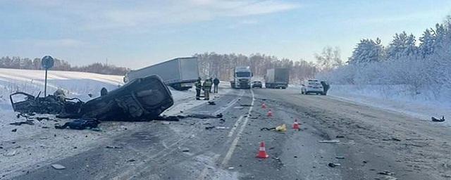 Одним из погибших в аварии с пятью жертвами в Кузбассе был девятилетний ребенок