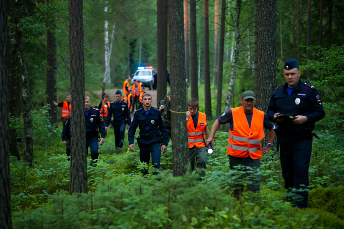 В Тульской области добровольцы нашли всех пропавших детей в 2024 году