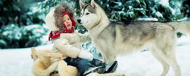 В Волгограде 15 января отметят День снега