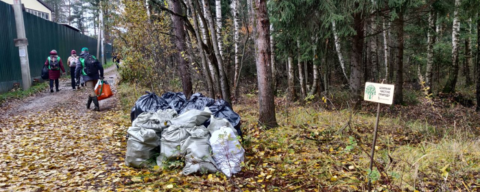 В деревне Протасово во время экопохода собрали 48 мешков мусора