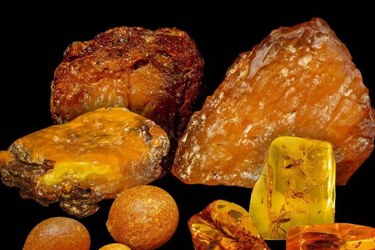 Kaliningrad launches amber labeling to legalize 30% of the shadow market