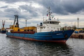 Из порта Мариуполя с начала 2026 года отправили около 60 тысяч тонн пшеницы