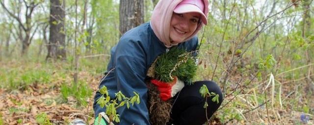 В Татарстане пройдет акция «День посадки леса»