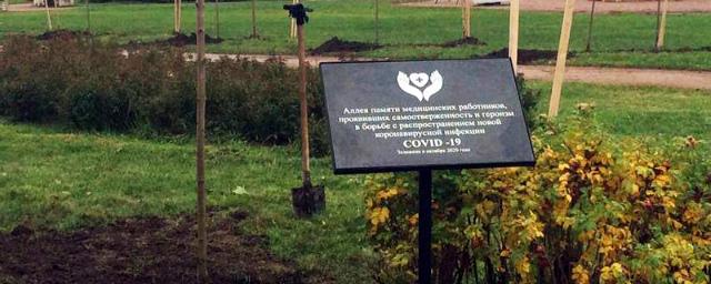 В память о петербургских медиках, погибших в борьбе с COVID-19, открыли аллею