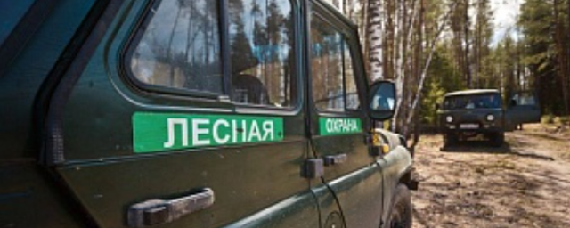 В Карачаево-Черкесии с начала года выявили 17 фактов незаконной рубки леса