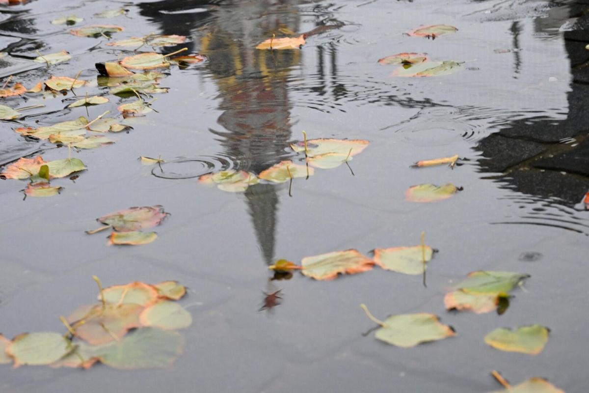 Вильфанд: Лета в центре европейской России осталось на два дня