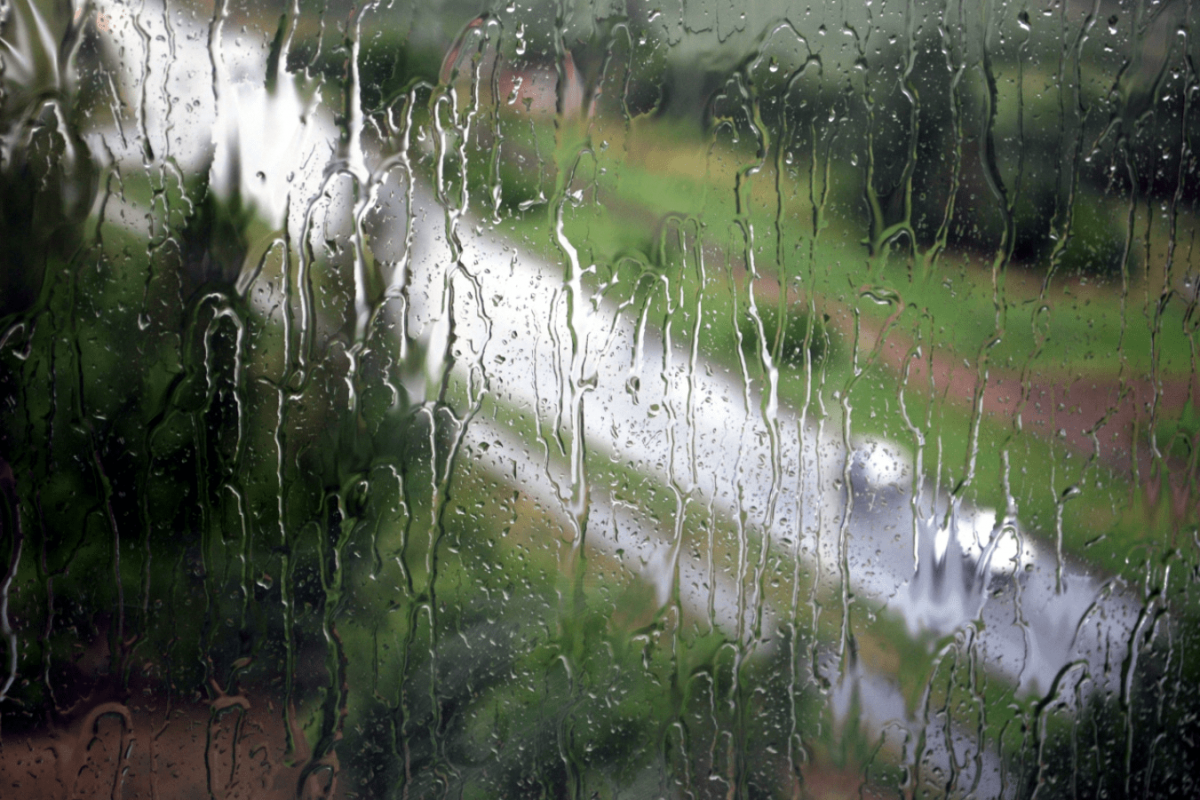 Сильный дождь ожидается 30 июня в трех округах Магаданской области