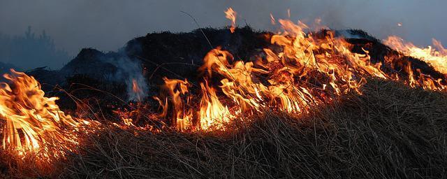 Жителей Коми предупредили о чрезвычайно высокой пожароопасности в регионе