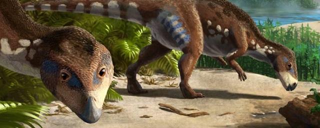 Останки неизвестного науке вида травоядных динозавров обнаружены в Румынии