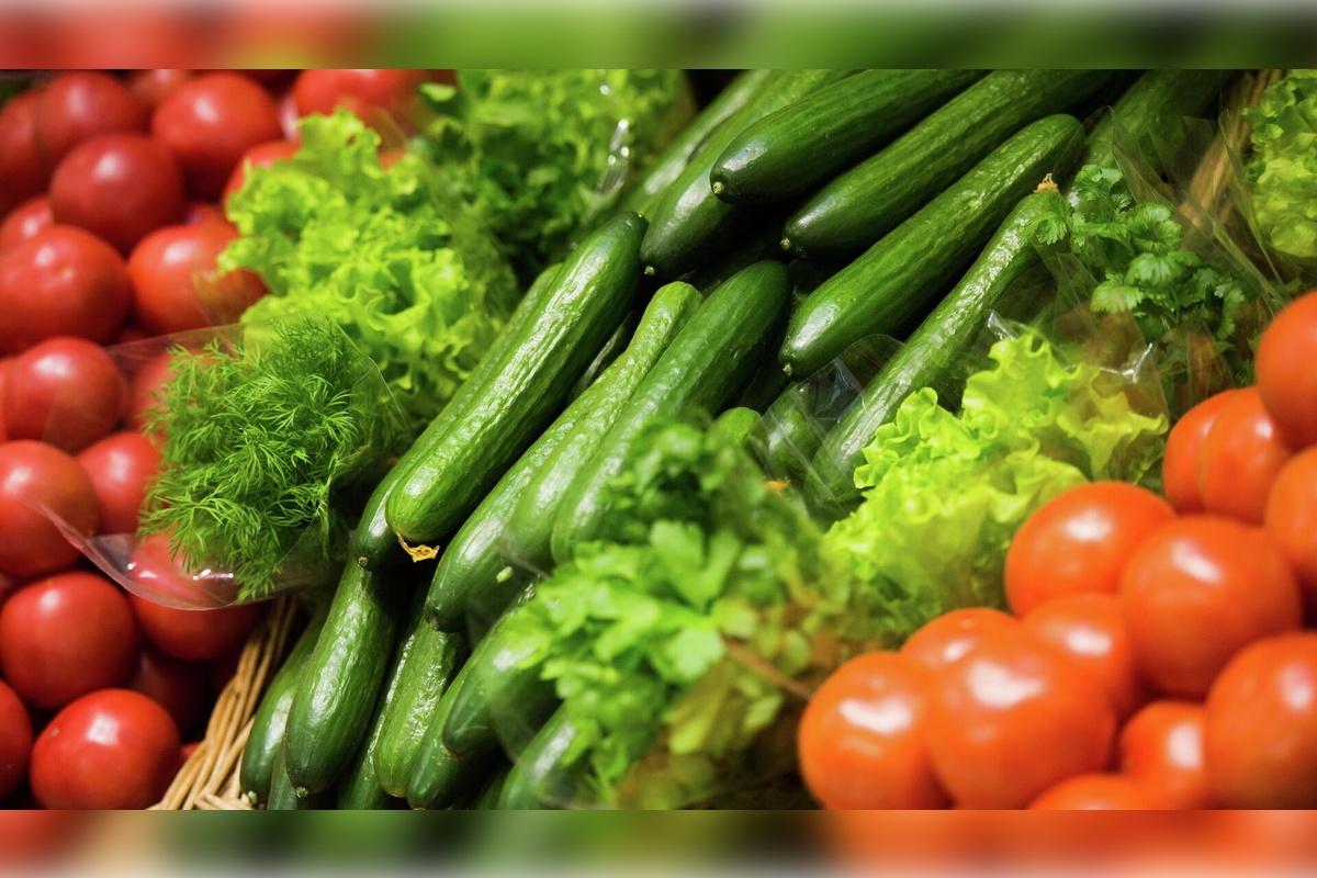 Овощеводы Томской области занялись взращиванием капусты