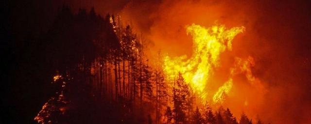 Воронежская область заняла второе место по числу пожаров в ЦФО