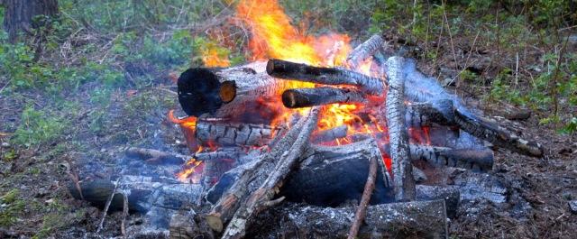 МЧС: В Новосибирской области местные жители начали жечь сухую траву