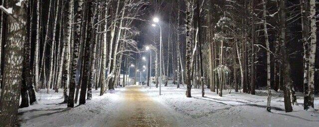 В парке «Харинка» города Иваново завершили освещение пешеходной аллеи