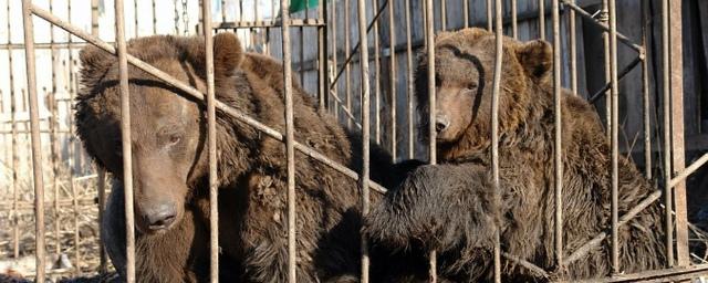 В Рязани прокуратура намерена проверить зоопарк «Пересвет» из-за жалоб