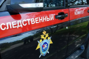 Следователи заинтересовались делом многодетной матери из Липецка