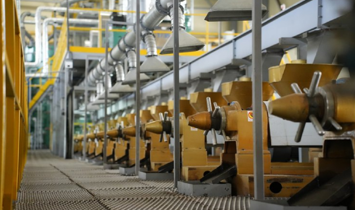 Иркутская область достигла значительного превышения плана по агроэкспорту