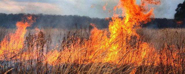 В Тамбовской области за сутки произошло 77 пожаров