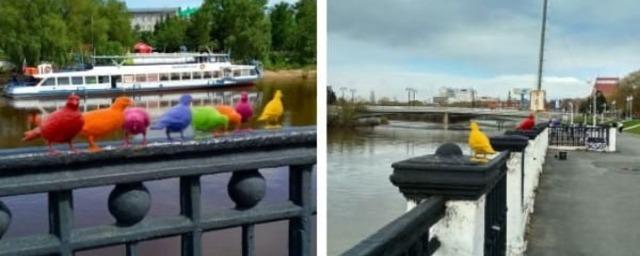 Мэр Омска Шелест запретил ставить в городе памятник голубям из-за ассоциаций с ЛГБТ