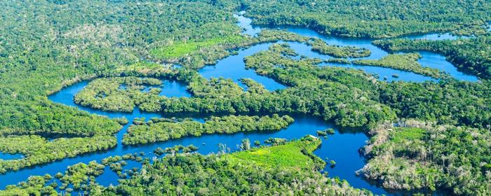 Ратгерский университет: Часть тропических лесов Амазонии превратится в сухую саванну