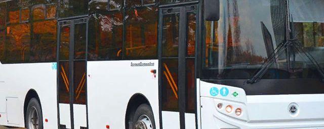 В Липецке на два частных маршрута выходят современные автобусы