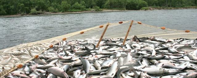 В Магаданской области отмечают День рыбака