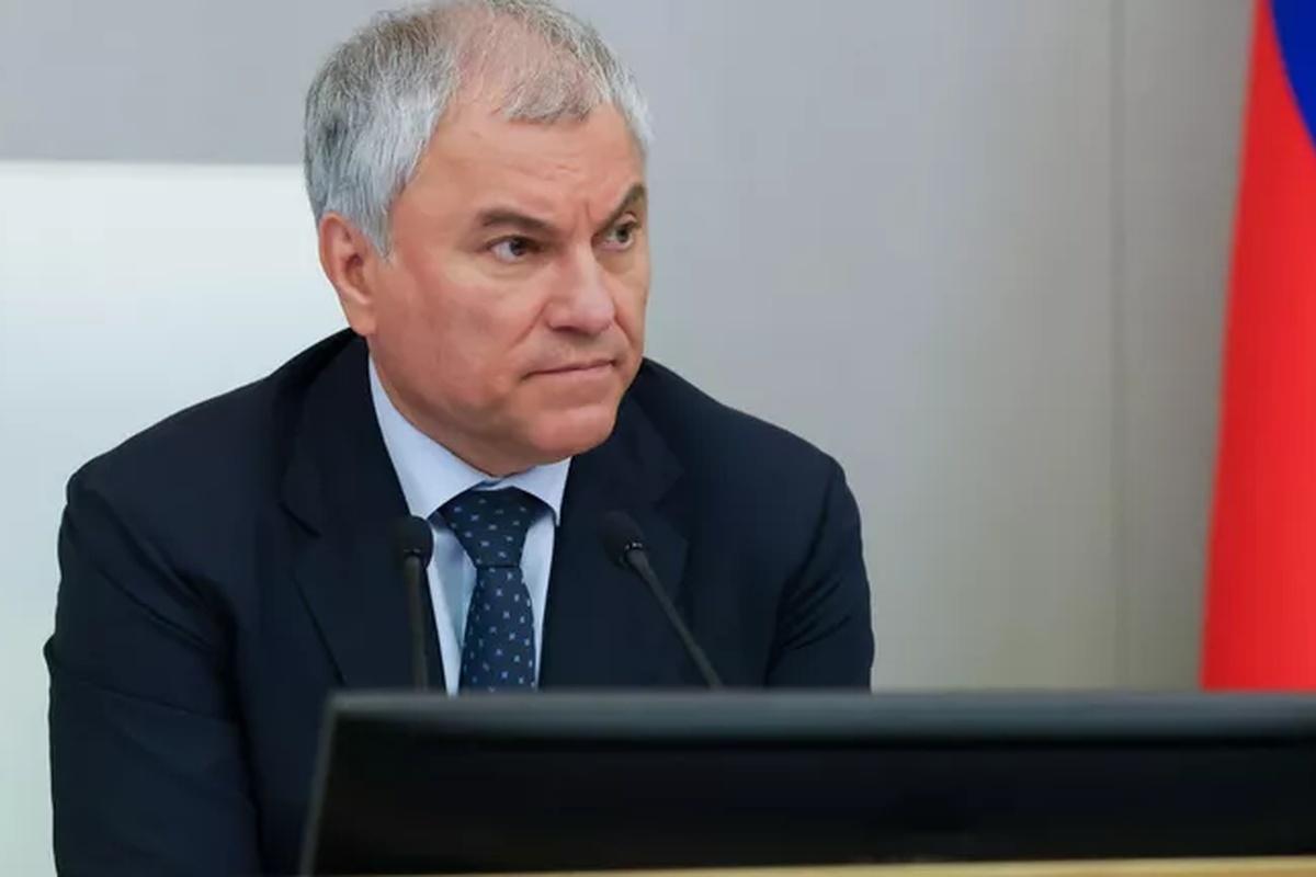 Володин призвал МВД присмотреться к деятельности Минтруда