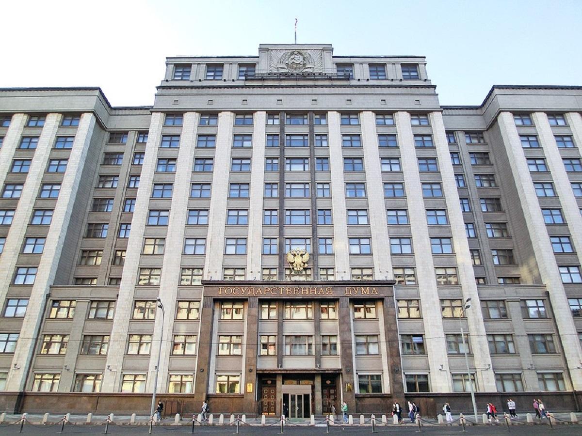 В Госдуме проанализировали возможные последствия отмены статуса ИП