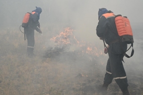 В Челябинской области за нарушение правил пожарной безопасности в лесу выписали 43 штрафа
