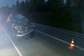 В Кировской области иномарка сбила выбежавшего на трассу лося