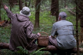 Отряд «ЛизаАлерт» подвел итоги сентября: в Петербурге и области искали 392 человека