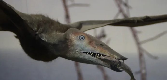 Эксперты выявили фактор, который помог птицам пережить динозавров