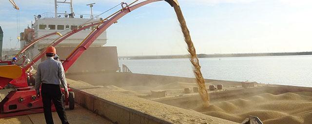 В случае прекращения зерновой сделки Украина потеряет до 500 млн долларов ежемесячного дохода