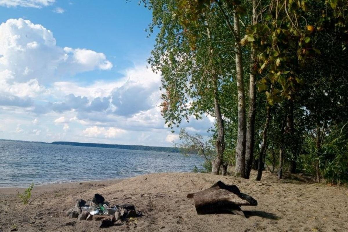 Новосибирская область вошла в пятерку лидеров России по активности волонтеров экологической акции