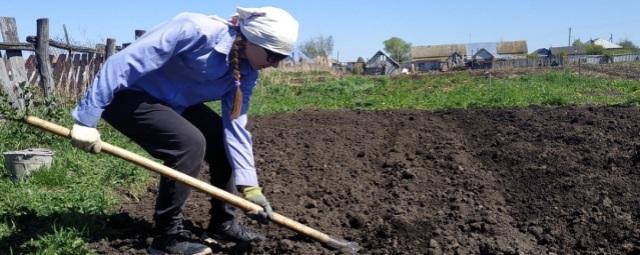 Власти Башкирии расширили меры господдержки садоводов