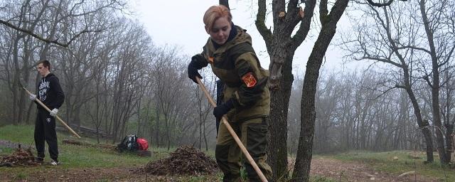 В Севастополе пройдет субботник «Лес Победы»